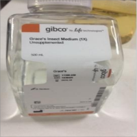 Gibco™15240062;抗菌抗真菌剂(AntibioticAntimycotic), 100X;瓶