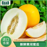 [苏鲜生]缅甸黄河蜜瓜 白肉蜜瓜 6-7斤装 香甜可口 新鲜水果应季