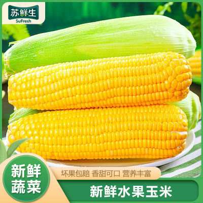 [苏鲜生]云南水果玉米 净重5斤装 箱装 香甜可口 时令蔬菜 营养丰富