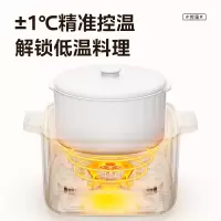 美的电炖锅 电炖盅隔水炖锅 燕窝炖盅 煮粥神器 陶瓷MD-DZC2501