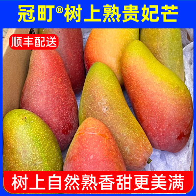 冠町 海南树熟贵妃芒8斤礼盒装[18-24个装]新鲜水果生鲜