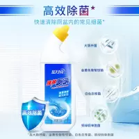 强效厕清500g