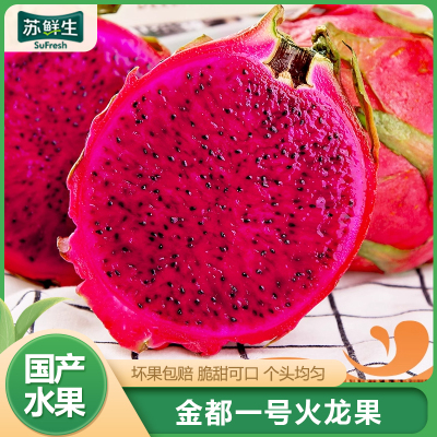 [苏鲜生] 京都一号火龙果 红心火龙果 净重2.8-3.2斤 大果 箱装 热带 水果 当季新鲜水果1