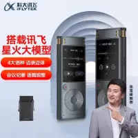 科大讯飞智能录音笔SR302星火版 随身便携专业录音设备录音机 同声传译(单位:个)