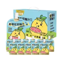生和堂 金银花双柚汁100ml*12袋礼盒装 草本果汁饮料