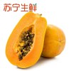 [苏宁生鲜]海南树上熟木瓜2个约450g/个