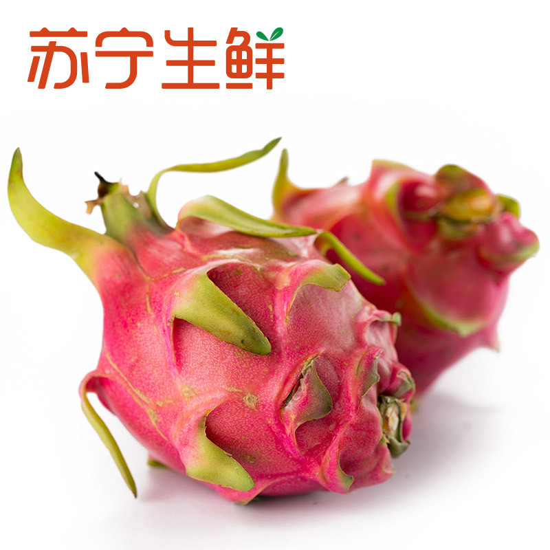 【苏宁生鲜】越南白心火龙果2.8kg400g以上/个新鲜水果