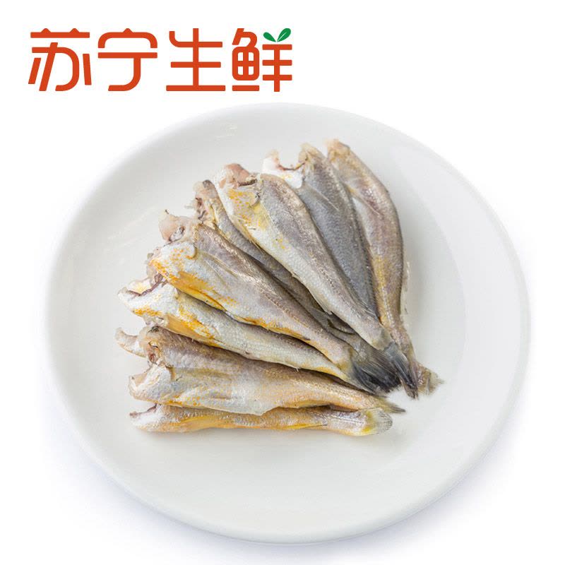 【苏宁生鲜】 东海去头小黄鱼300g(18-20条装)海鲜水产图片