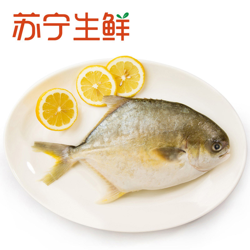 【苏宁生鲜】 金鲳鱼1条380g/条海鲜水产