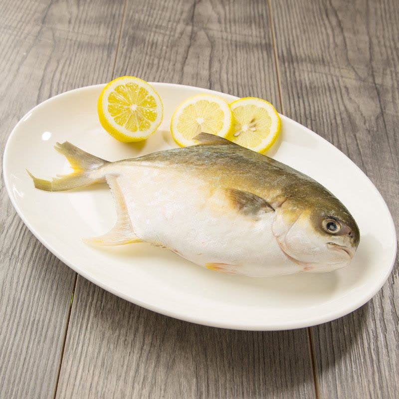 【苏宁生鲜】 金鲳鱼1条380g/条海鲜水产图片