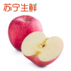 【苏宁生鲜】山东蓬莱精品红富士2.5kg果径80-85mm 苹果 新鲜水果