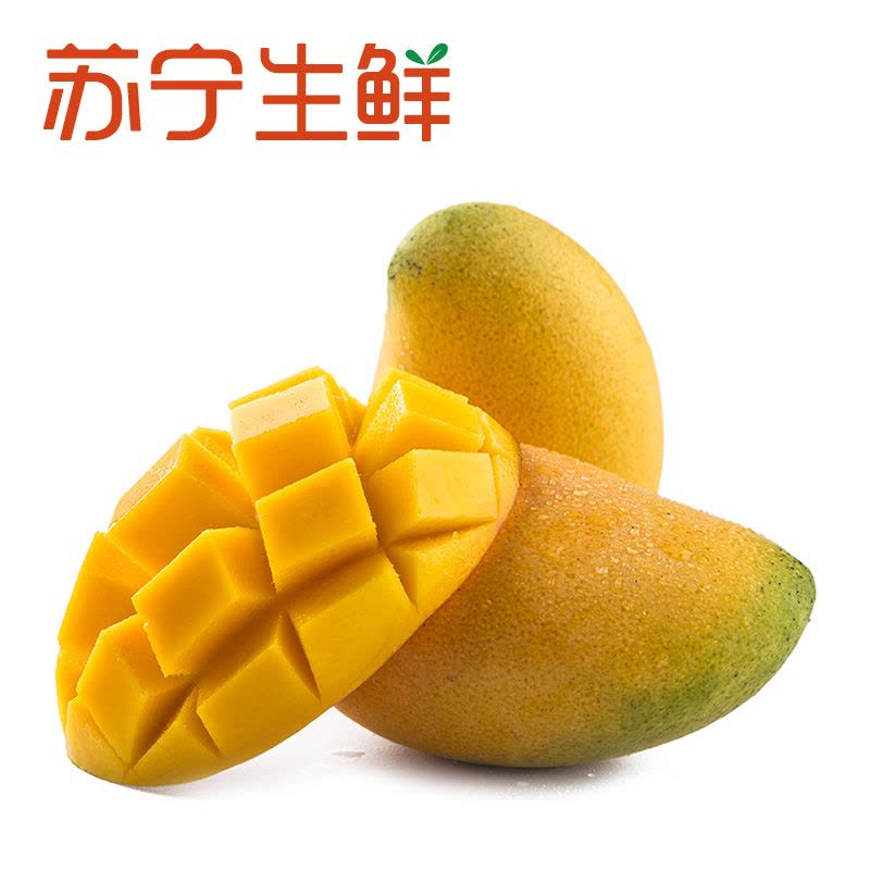 [苏宁生鲜]海南小台农芒果1kg50g以上/个图片