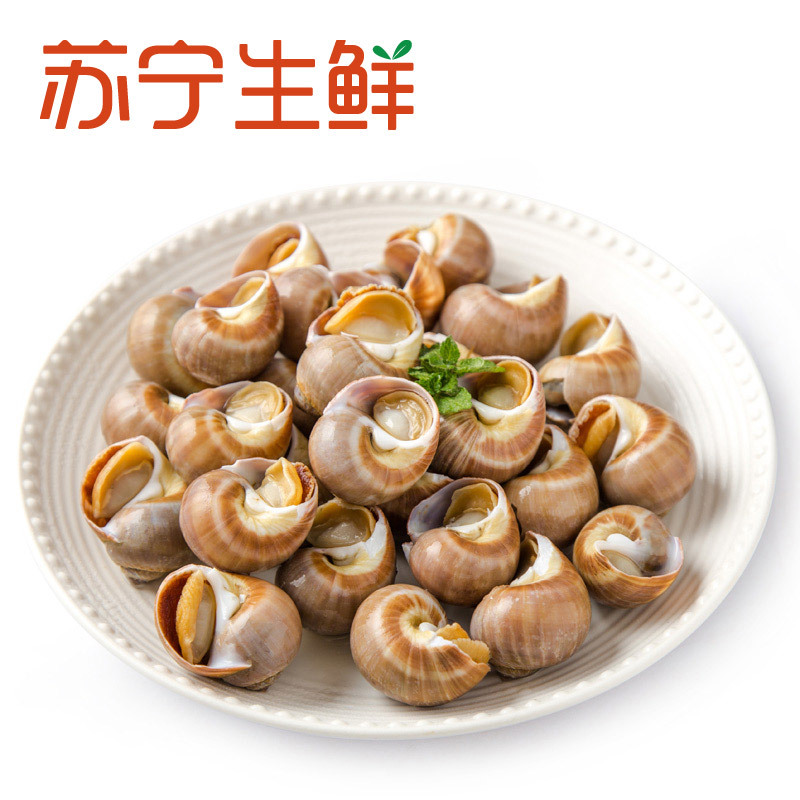 【苏宁生鲜】黄金玉螺（熟冻） 500g/包海鲜水产 花螺