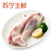 【苏宁生鲜】 内蒙古苏尼特羊棒骨600g 羊肉 精选肉类