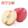 【苏宁生鲜】山东栖霞精品红富士2.5kg果径80-85mm 苹果 新鲜水果