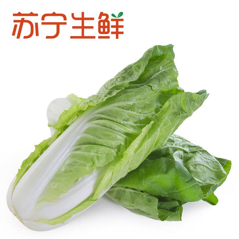 【苏宁生鲜】精选快菜500g 禽蛋蔬菜 国产 简装图片