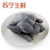 【苏宁生鲜】凤中皇乌凤鸡750g 禽肉