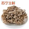 【苏宁生鲜】精选新鲜舞茸150g 菌菇 禽蛋蔬菜