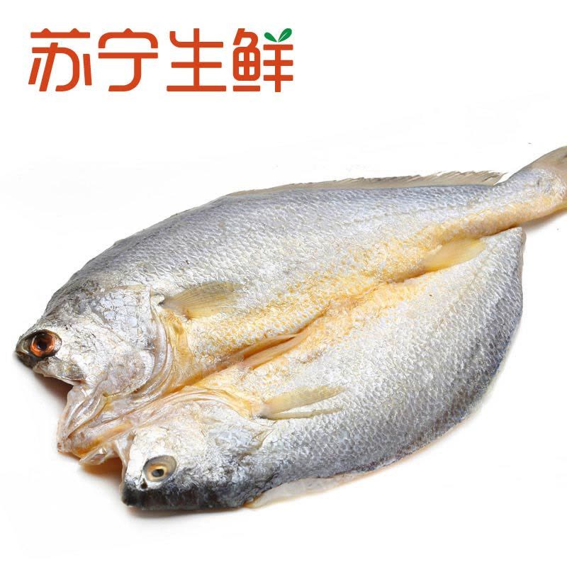 【苏宁生鲜】东海醉香黄鱼鲞1条240-250g/条图片