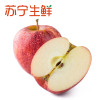 【苏宁生鲜】智利嘎啦果12个115g以上/个 苹果 新鲜水果