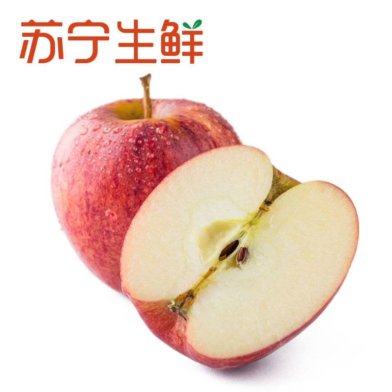 【苏宁生鲜】智利嘎啦果12个115g以上/个 苹果 新鲜水果图片