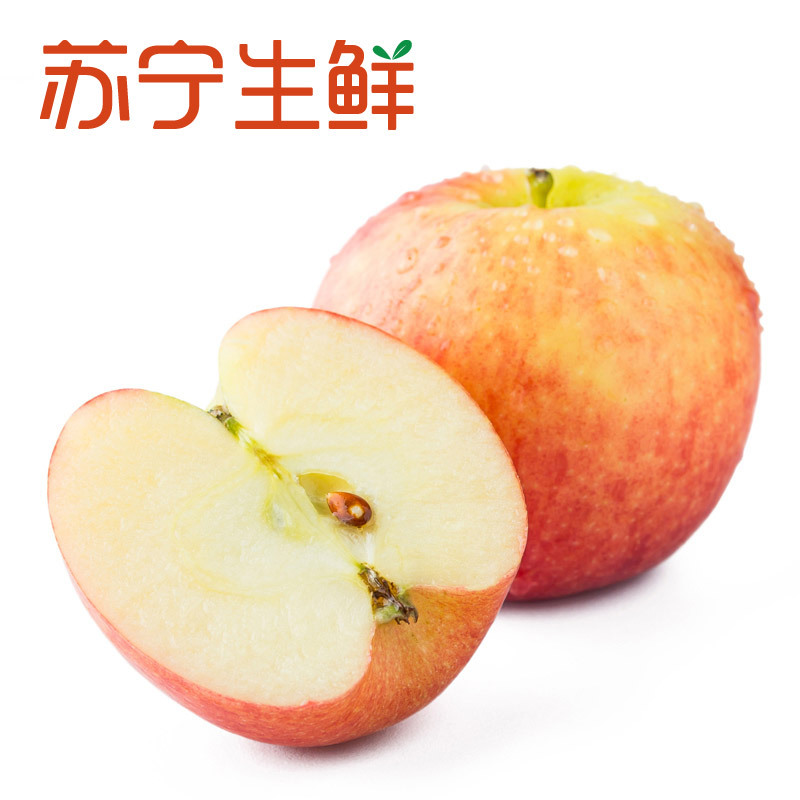 【苏宁生鲜】新西兰红玫瑰Jazz苹果4个150g以上/个 新鲜水果 进口
