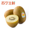 【苏宁生鲜】佳沛(Zespri)新西兰阳光金奇异果10个92-114g/个 进口猕猴桃 新鲜水果