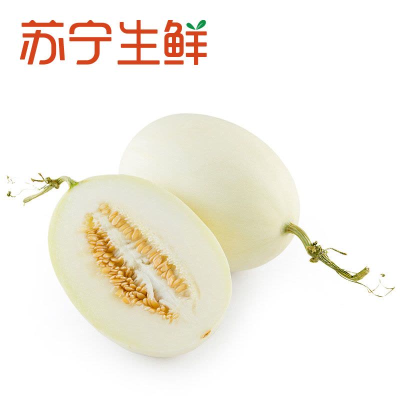 【苏宁生鲜】山东白金蜜瓜2个500g以上/个 新鲜水果 国产图片