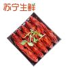 【苏宁生鲜】星农联合熟制龙虾(十三香口味)1kg(17-25只) 小龙虾海鲜水产