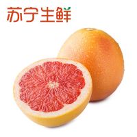【苏宁生鲜】南非葡萄柚2个250g以上/个 新鲜水果 进口