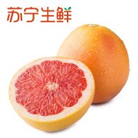 【苏宁生鲜】都乐南非葡萄柚4个380g以上/个新鲜水果 西柚