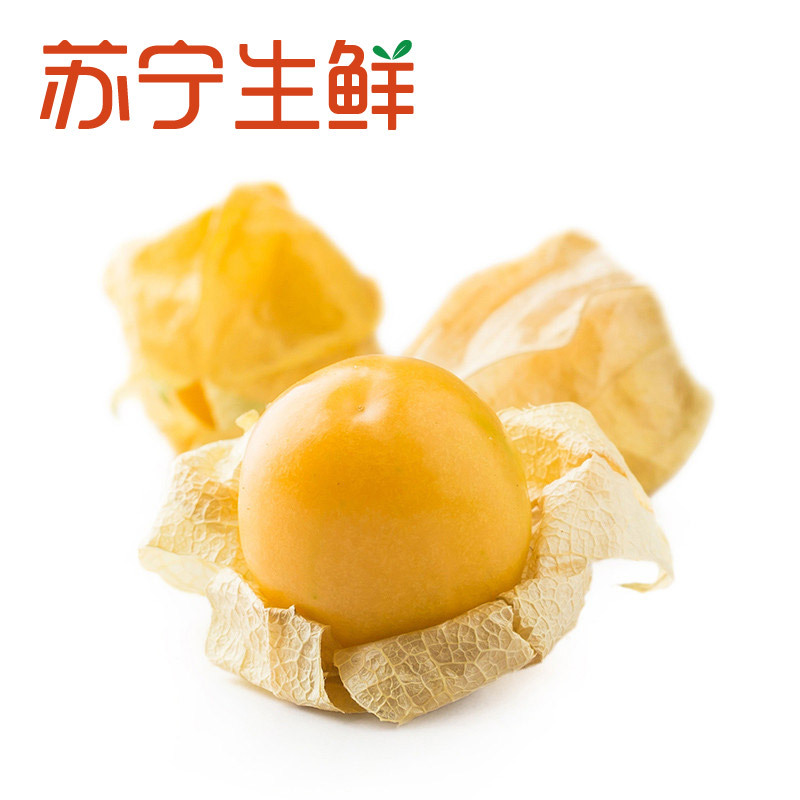 【苏宁生鲜】吉林长白山菇娘果1kg新鲜水果