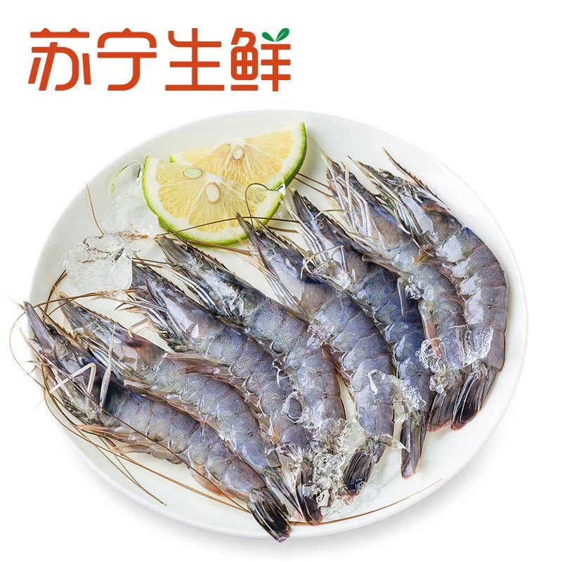 [苏宁生鲜]汶莱冻带头蓝虾800g(61-70只/kg)