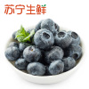 【苏宁生鲜】加拿大蓝莓1盒(约125g/盒)