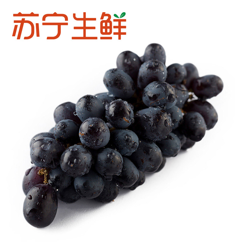 【苏宁生鲜】新疆无籽黑提500g