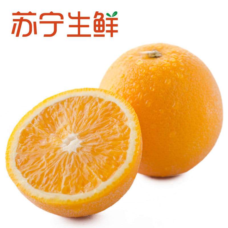 【苏宁生鲜】南非夏橙10个190g以上/个 新鲜水果 橙子