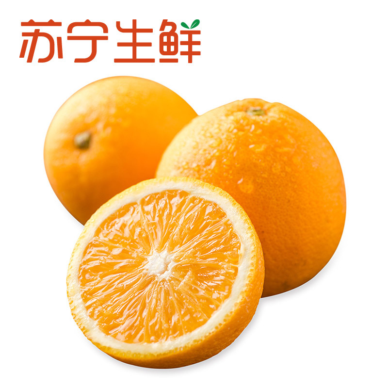 【苏宁生鲜】南非夏橙12个190g以上/个 新鲜水果 橙子