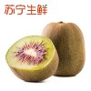【苏宁生鲜】国产红心猕猴桃6个65g以上/个 新鲜水果