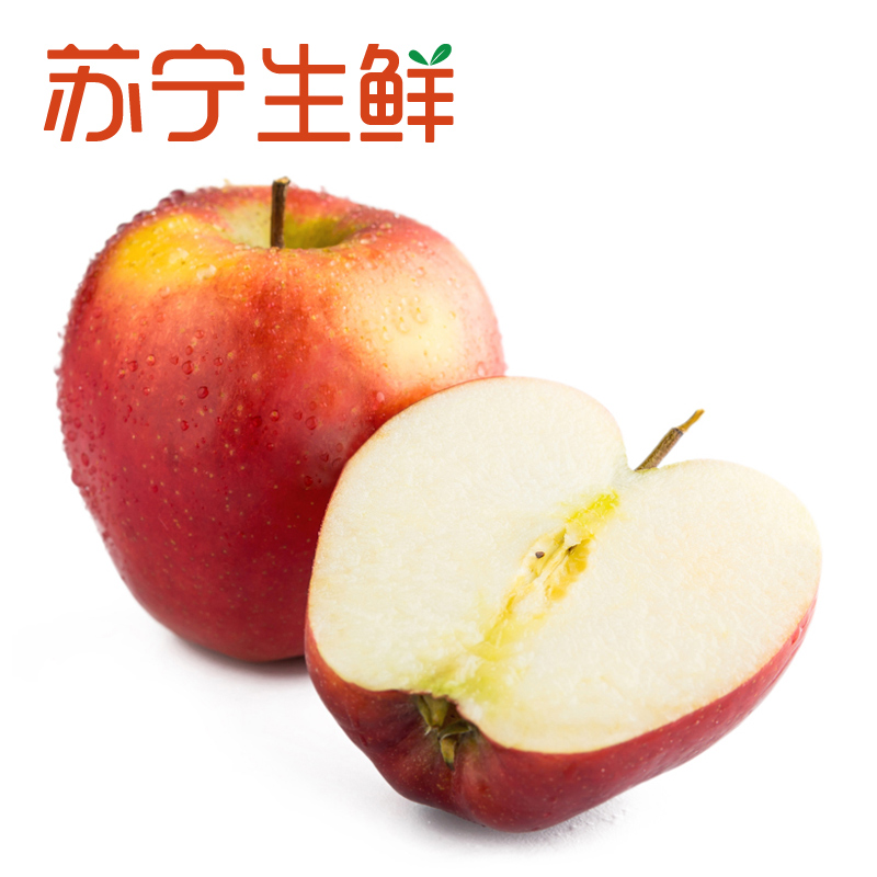 【苏宁生鲜】新西兰红玫瑰Queen苹果6个150g以上/个