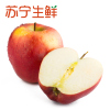 【苏宁生鲜】新西兰红玫瑰Queen苹果6个150g以上/个