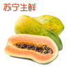 【苏宁生鲜】泰国木瓜1个600g以上/个