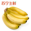 [苏宁生鲜]海南香蕉1kg