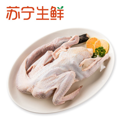 【苏宁生鲜】尼松野鸭童子野鸭650g