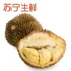 【苏宁生鲜】波得泰国金枕头带壳冻榴莲1个(1.2-1.5kg/个)