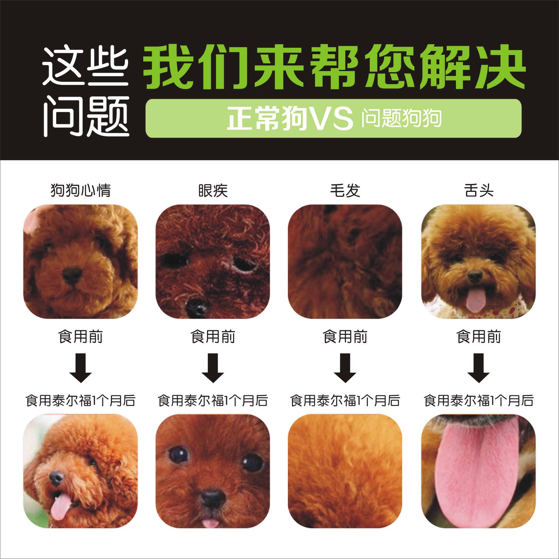 泰尔福(T&F)狗粮 中大型犬鸡肉味幼犬粮 10KG犬用主粮