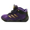 阿迪达斯adidas男鞋春季Crazy3天足场上实战耐磨篮球鞋B49706CB4970