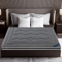 九氏Joesh竹碳纤维椰棕天然乳胶床垫双面使用软硬可选床垫