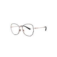 BOLON暴龙新款光学镜女款金属潮流近视镜时尚 眼镜架BJ7122