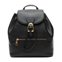 COACH 蔻驰 奢侈品 女士抛光鹅卵石皮革EVIE双肩背包 68380