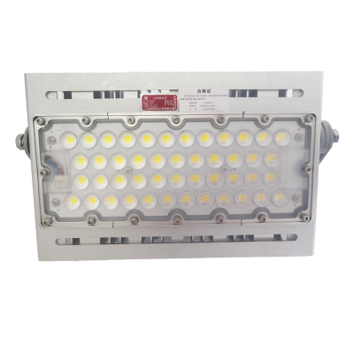 欧辉照明 (OHUIZAOMIN) LED投光灯 OHSF9305-200W 个